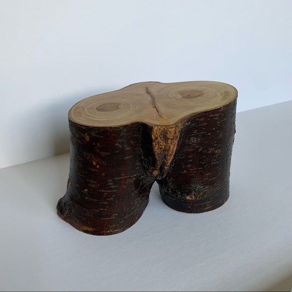 Statue, Bust, Natural Home Decor, Tree Branch Shelf Decor, crotch bust, sustaina - Picture 6 of 10